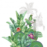 Servietten 33x33 cm - Tropicale Servietten 33x33 cm - Tropicale