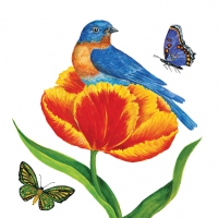 Servietten 33x33 cm - Tulip Nest