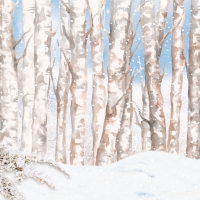 Servietten 33x33 cm - Winter Wonderland