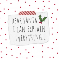 Servietten 33x33 cm - Explain