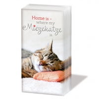 Taschentücher - Miezekatze