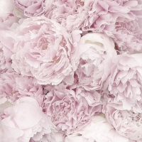 Servietten 33x33 cm - Peony