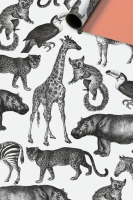 Geschenkpapier beschichtet - Zimo