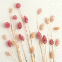 Servietten 33x33 cm - Sira