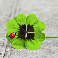 Servietten 33x33 cm - Clover