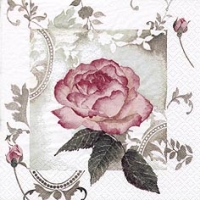 Servietten 24x24 cm - Enchanting Rose Vintage rosé
