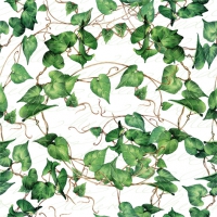 Servietten 24x24 cm - Green Ivy Branches Servietten 24x24 cm - Green Ivy Branches