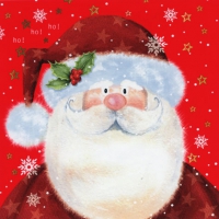 Servietten 33x33 cm - Saint Nick red