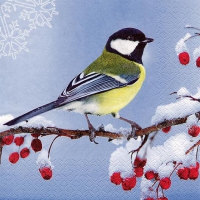 Servietten 33x33 cm - Teta en Invierno