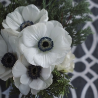 Servietten 33x33 cm - White Anemones