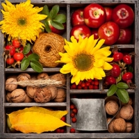 Servietten 33x33 cm - Autumn Composition