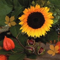 Servietten 33x33 cm - Castagne e Girasole