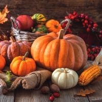 Servietten 33x33 cm - Thanksgiving Still Life