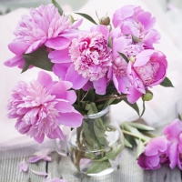 Servietten 33x33 cm - Peonias Rosas Servietten 33x33 cm - Peonias Rosas