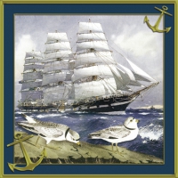 Servietten 33x33 cm - Windjammer Servietten 33x33 cm - Windjammer