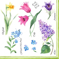 Servietten 33x33 cm - Collezione Floreale Primavera Servietten 33x33 cm - Collezione Floreale Primavera
