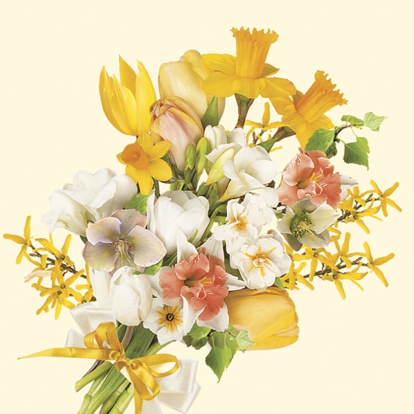 Servietten 33x33 cm - Bunch of Spring Flowers, Narzissen, Blumenstrauß, Tulpen, Osterglocken, Blumen Servietten 33x33 cm - Bunch of Spring Flowers