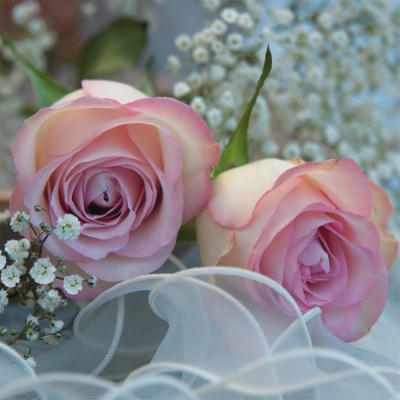 Servietten 33x33 cm - Ambiance Romantique